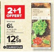 potager Carrefour