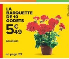 LA  BARQUETTE DE 10 GODETS  €  599  49  Géranium  en page 59  Ofloramida 