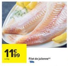 1199  Lokg  Filet de julienne 