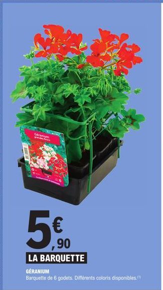 C  500  ,90  LA BARQUETTE  GERANIUM  Barquette de 6 godets. Différents coloris disponibles.") 