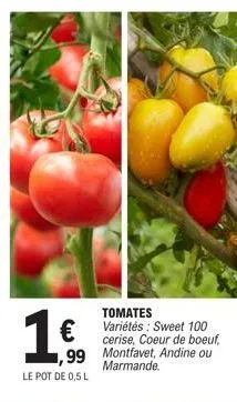 1€  ,99  le pot de 0,5 l  tomates variétés: sweet 100  cerise, coeur de boeuf, me montfavet, andine ou marmande. 