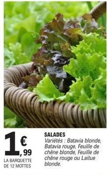 1€  ,99  la barquette de 12 mottes  salades variétés: batavia blonde, batavia rouge, feuille de chêne blonde, feuille de chêne rouge ou laitue blonde.  