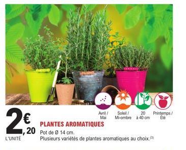 2€  L'UNITÉ  ,20 Pot de Ø 14 cm.  PLANTES AROMATIQUES  Avril/ Soleil/ 20 Printemps/ Mai Mi-ombre à 40 cm Ebé  Plusieurs variétés de plantes aromatiques au choix.(3) 