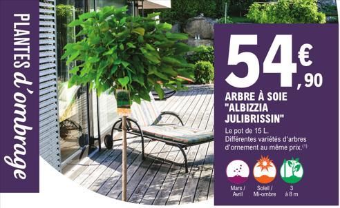 PLANTES d'ombrage  54€  1,90  ARBRE À SOIE "ALBIZZIA JULIBRISSIN" Le pot de 15 L.  Différentes variétés d'arbres d'ornement au même prix.(¹)  3  Mars/ Soleil/ Avril Mi-ombre à 8m  