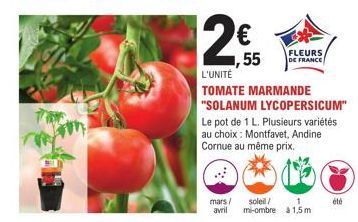 12€  55  L'UNITÉ  mars/ soleil/  avril  TOMATE MARMANDE "SOLANUM LYCOPERSICUM"  FLEURS, DE FRANCE  Le pot de 1 L. Plusieurs variétés au choix : Montfavet, Andine Cornue au même prix.  1  mi-ombre à 1,