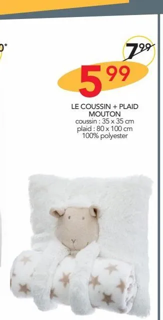 le coussin  + plaid mouton