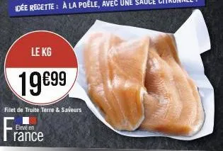 le kg  19€99  filet de truite terre & saveurs  france 