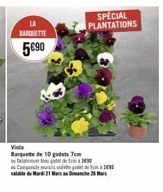 LA  BARQUETTE  5€90  Viola Barquette de 10 godets 7cm  ou Delphinium bleu godet de Som à 390 ou Campanule murais violette godel de 9cm à 3€90 valable du Mardi 21 Mars au Dimanche 26 Mars  SPÉCIAL PLAN