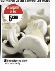 champignons blanc la banquette delk 