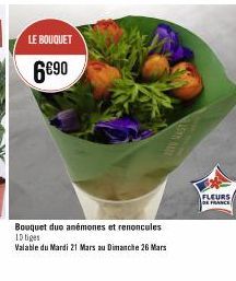 fleurs Mars