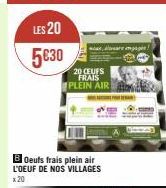 LES 20  5€30  20 CEUFS FRAIS PLEIN AIR  BOeufs frais plein air L'OEUF DE NOS VILLAGES  x 20  alware magi 