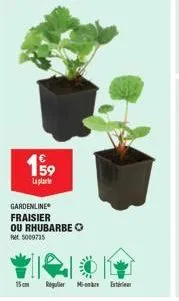 199  lapla  gardenline fraisier ou rhubarbeq  ret 5009735  15cm régulier mb ext 
