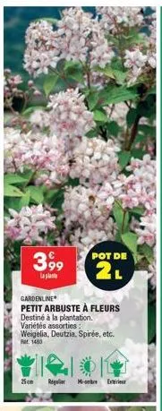 3,99  la  pot de  2l  gardenline  petit arbuste à fleurs destiné à la plantation. variétés assorties: weigelia, deutzia, spirée, etc. at 1480  25cm  regler - extr 