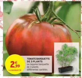 2,99  la barquette  whilber  tomate barquette de 3 plants ou legume barquette de 3 plants différentes variétés  