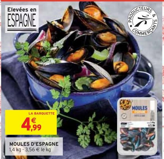 MOULES D'ESPAGNE