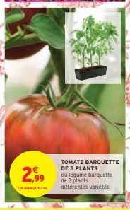 2.99  LA BARQUETTE  TOMATE BARQUETTE DE 3 PLANTS  ou legume barquette de 3 plants différentes variétés  SA W  1035 