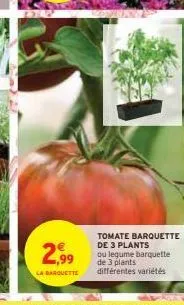 2.99  la barquette  tomate barquette de 3 plants  ou legume barquette de 3 plants différentes variétés 