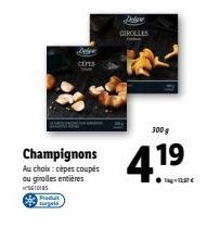 champignons 