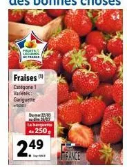 fruits lecums de france  fraises  catégorie 1  variétés:  gariguette  du 22/09 audim 25/03 la barquette  de 250  249  rance 