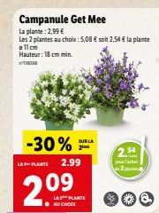 plantes 