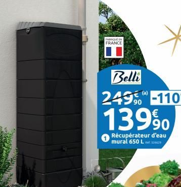 FABRIQUE EN FRANCE  Belli 2499-110€  139%  Récupérateur d'eau mural 650 L 126629 