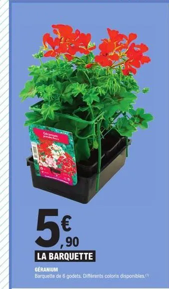 c  500  ,90  la barquette  geranium  barquette de 6 godets. différents coloris disponibles.") 