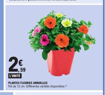 ,59 L'UNITÉ  PLANTES FLEURIES ANNUELLES  Pot de 12 cm. Différentes variétés disponibles. 