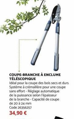 coupe-branche 