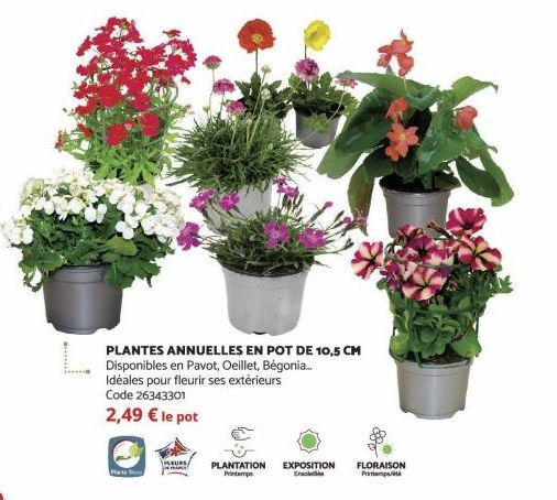 PLANTES ANNUELLES EN POT DE 10,5 CM Disponibles en Pavot, Oeillet, Bégonia.... Idéales pour fleurir ses extérieurs Code 26343301  2,49 € le pot  PLEURS PLANTATION EXPOSITION  Printemps  Ensole  FLORAI