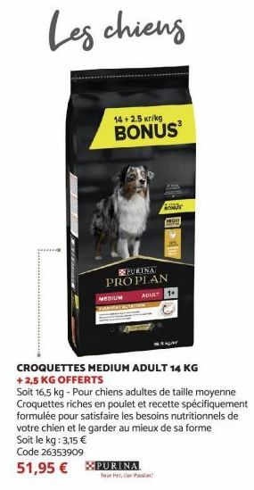 croquettes Purina