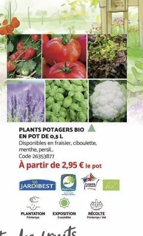 plants potagers bio en pot de 0,5 l disponibles en fraisier, ciboulette, menthe, persil... code 26353877  à partir de 2,95 € le pot  jardibest  plantation exposition récolte printemps eroietiin printe