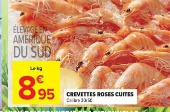 élevage en amerique du sub  le kg  895  95 crevettes roses cuites  calibre 30/50 