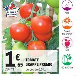 fleurs de france  1.65  €  ,65  l'unité  tomate grappe premio le pot de 0,5 l.  avril  16  soleil/ mi-ombre  60 à 80 cm 