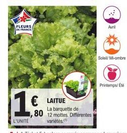 FLEURS DE FRANCE  L'UNITÉ  € LAITUE  La barquette de  80 12 mottes. Différentes  variétés (¹)  Avril  Soleil/ Mi-ombre  Printemps/Eté 