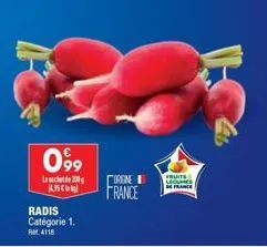 099  200  195  radis catégorie 1.  rm 4118  orgne  france  fruits  legumes france 