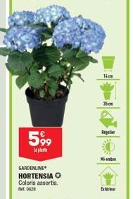 599  La plat  GARDENLINE HORTENSIA O Coloris assortis. Rat. 0628  14cm  35cm  Regulier  Manre 