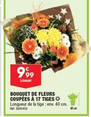 bouquet de fleurs 