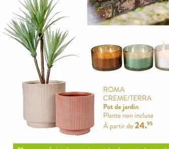 roma creme/terra pot de jardin plante non incluse  à partir de 24.⁹5  95 