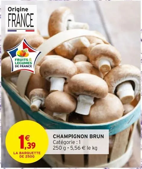 champignons brun