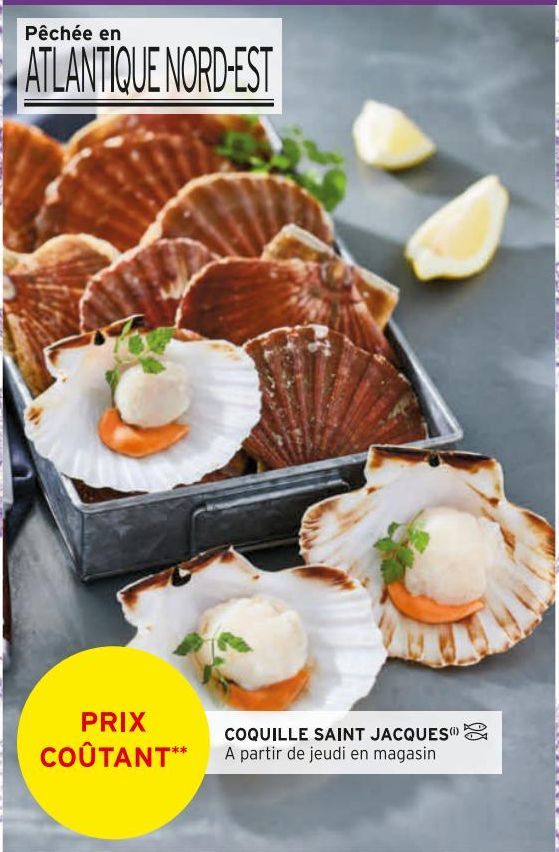 coquilles Saint-Jacques