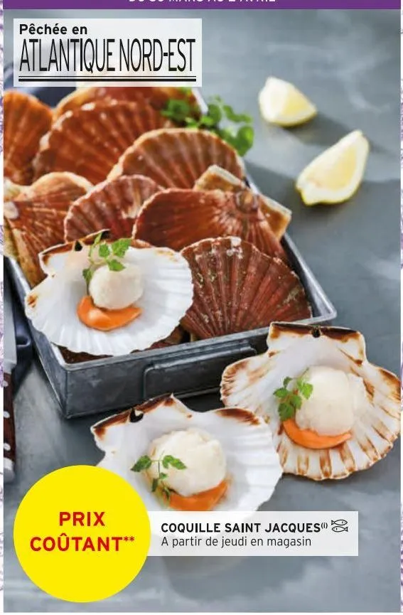 coquilles saint-jacques