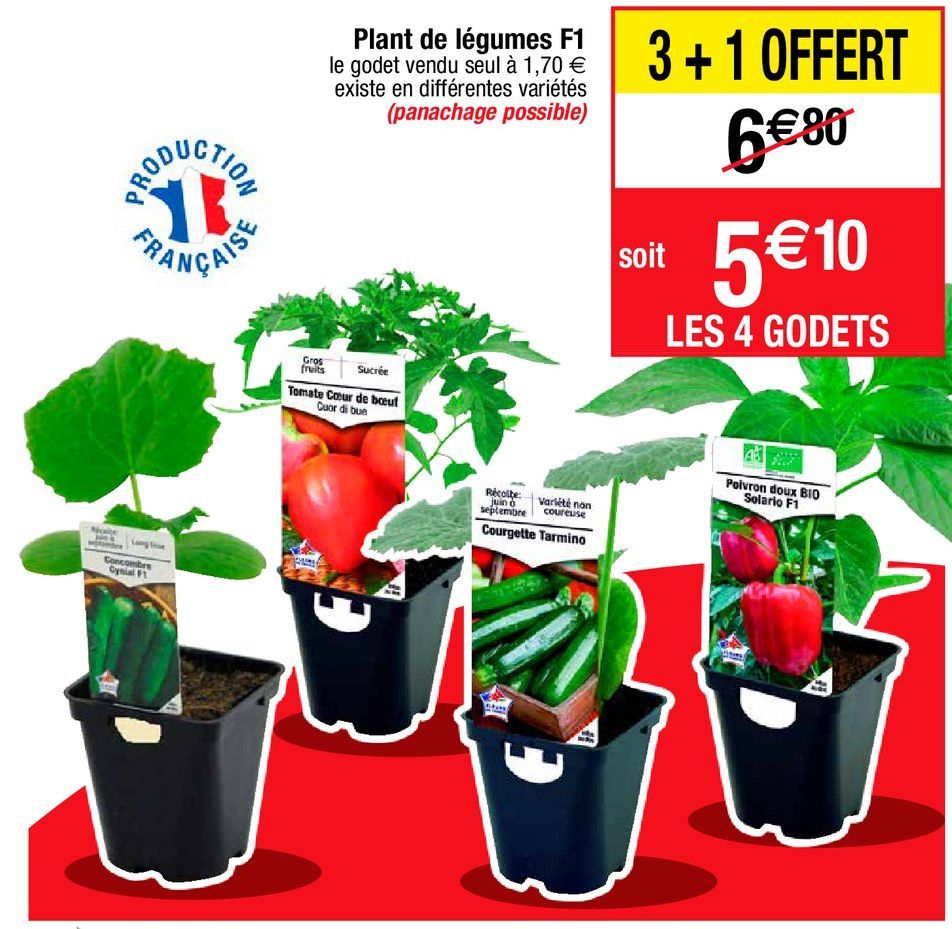 plantes à fleurs