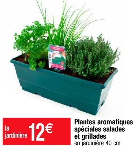 plantes