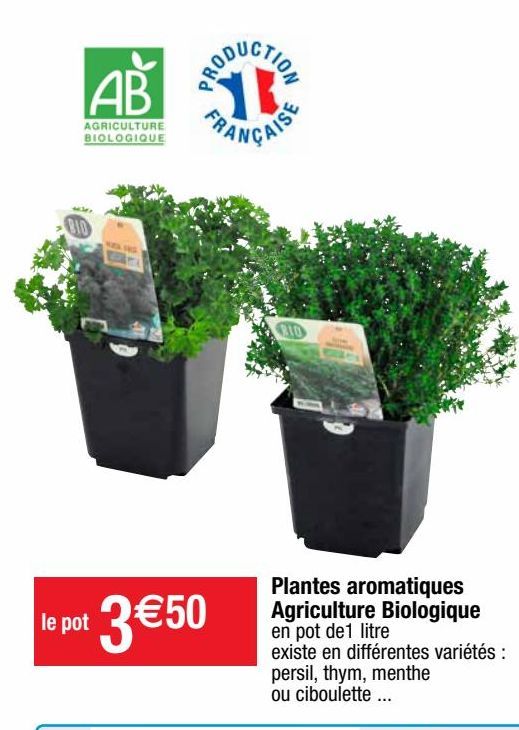 plantes aromatiques