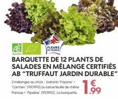 2mélanges au choix: batavia 'Fripone+  Carmen (910993) au laitue feuille de chine Panisse+ Pipeline (910992). La barquette  BARQUETTE DE 12 PLANTS DE SALADES EN MÉLANGE CERTIFIÉS  AB "TRUFFAUT JARDIN 