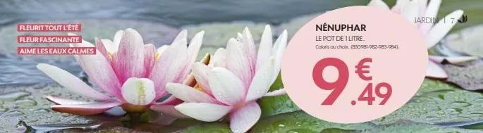 fleurit tout l'été  fleur fascinante aime les eaux calmes  nénuphar  le pot de 1 litre. coloris au choix (850981-982-983-984).  € .49  jardin 7m  