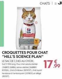 croquettes 