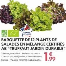 2mélanges au choix: batavia 'Fripone+  Carmen (910993) au laitue feuille de chine Panisse+ Pipeline (910992). La barquette  BARQUETTE DE 12 PLANTS DE SALADES EN MÉLANGE CERTIFIÉS  AB "TRUFFAUT JARDIN 