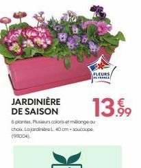 JARDINIÈRE DE SAISON  FLEURS.  DE FRANCE  13.99⁹  6 plantes. Plusieurs coloris et millange au choix. Lajardinie L. 40 cm+soucoupe. (901004) 