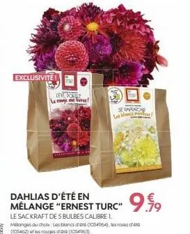 exclusivite  you  lete, portez  le rouge lives!  dahlias  mélange "ernest turc" 999  .79  le sac kraft de 5 bulbes calibre 1. mélanges au choix: les blancs d'ess (1054964), les roses d'été (105462) et